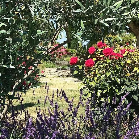 Les Petites Baronnes Sannes